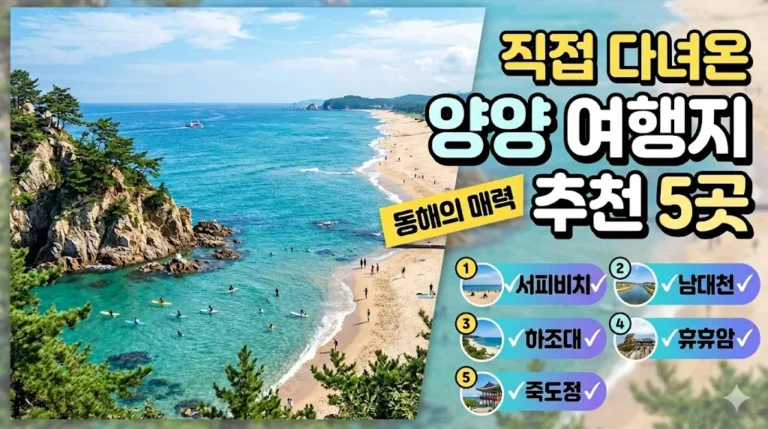 양양 여행지 추천